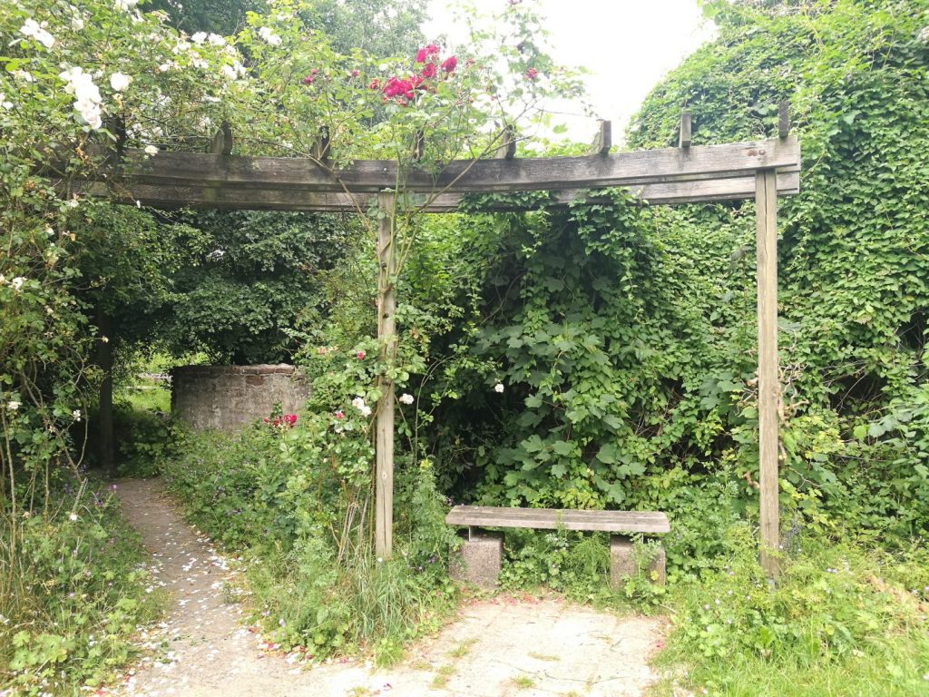 Binnentuin in De Oosterpoortwijk Groningen