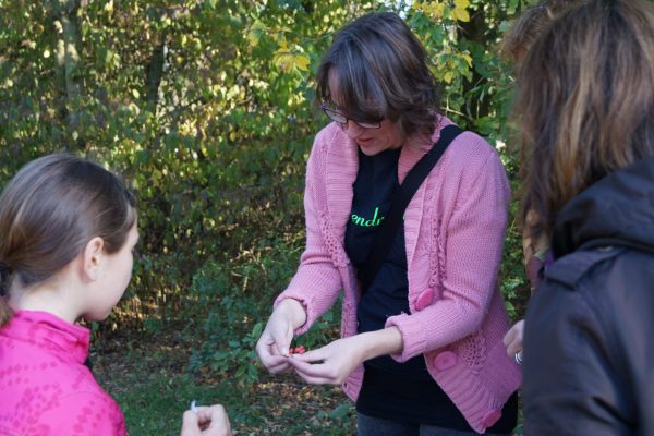 Wildplukken Groningen wandeling Stadspark met wildplukster