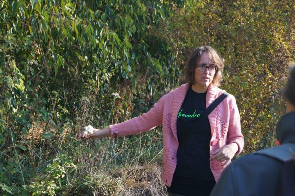 Wildplukken Groningen wandeling Stadspark met wildplukster