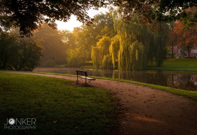 Herfstplaatjes schieten met fotograaf Melvin Jonker