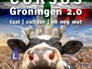 Boeken Groningen: Inburgeringscursus Groningen 2.0. foto van Bol.com