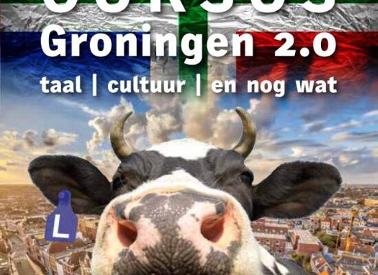 Boeken Groningen: Inburgeringscursus Groningen 2.0. foto van Bol.com