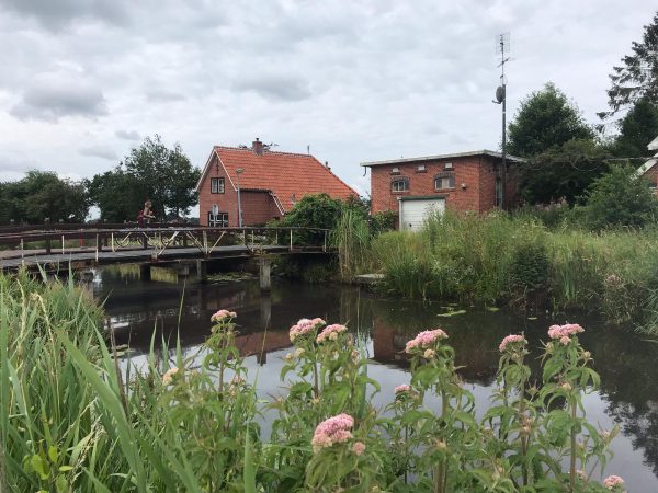 Fototour fietstocht door Meerstad en omgeving