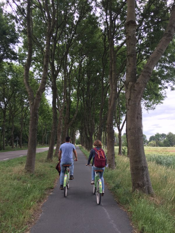 Fototour fietstocht door Meerstad en omgeving