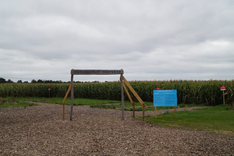 Speuren en (ver-)dwalen in Maisdoolhof Meerstad