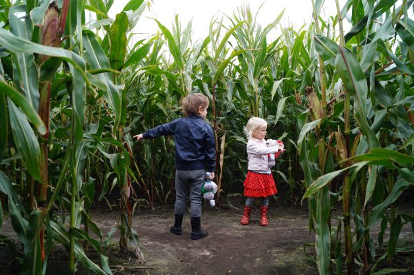 Maisdoolhof Meerstad: gratis en leuk uitje met kinderen in Groningen