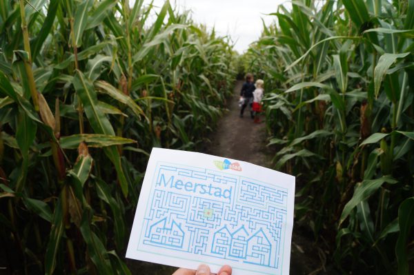 Maisdoolhof Meerstad: gratis en leuk uitje met kinderen in Groningen