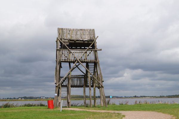 Uitkijktoren Meerstad, naast Maisdoolhof: gratis en leuk uitje met kinderen in Groningen