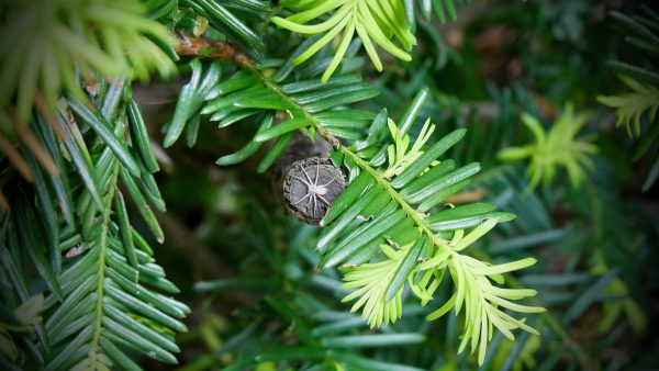 Gekke activiteiten Groningen: Expeditie Micronaut