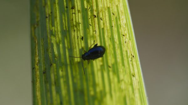 Gekke activiteiten Groningen: Expeditie Micronaut