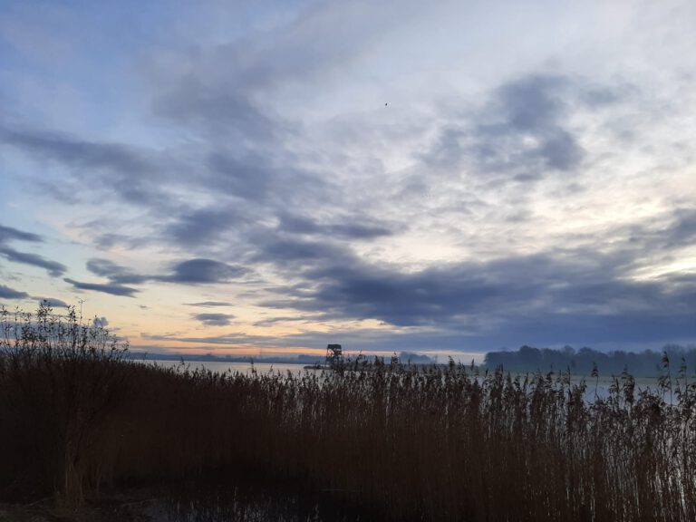 Meerstad: wonen aan het water