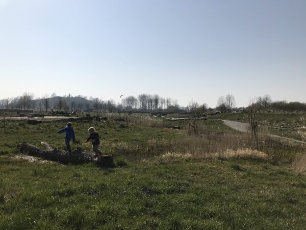 Natuurspeeltuin in natuurgebied OERR Kardinge Groningen