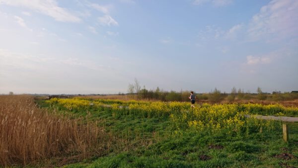 Hardlopen Groningen: 1 van de 5 leukste hardlooproutes is in De Onlanden