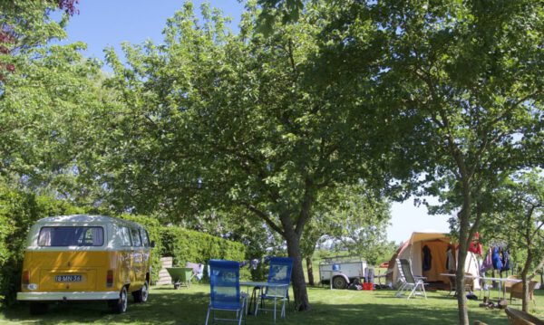 Campings Groningen: boerderijcamping Hayema Heerd Oldehove - foto van website