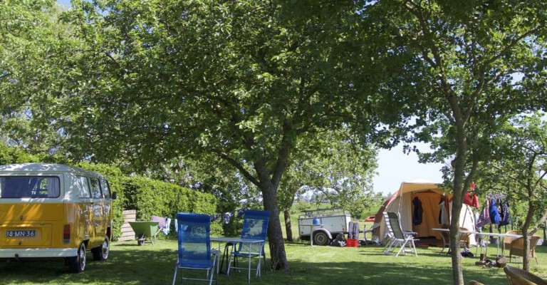 Campings Groningen: boerderijcamping Hayema Heerd Oldehove - foto van website