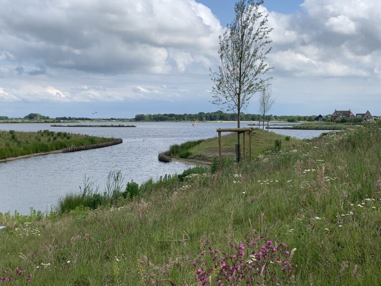 Wandelen, spelen en zwemmen in het groenste stadsdeel van Groningen: Park Meerstad