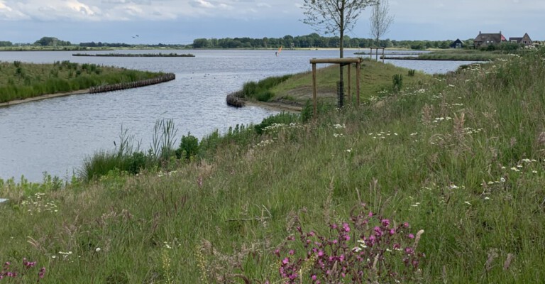 Park Meerstad - strand en surfen