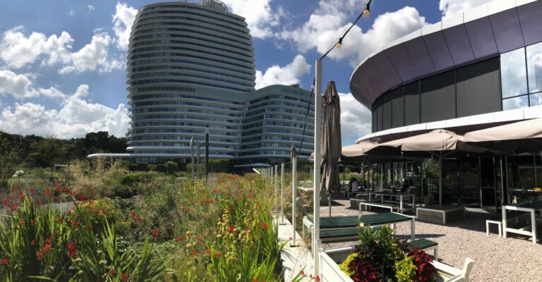 Paviljoen Sterrebos Groningen: luxe lunch en diner