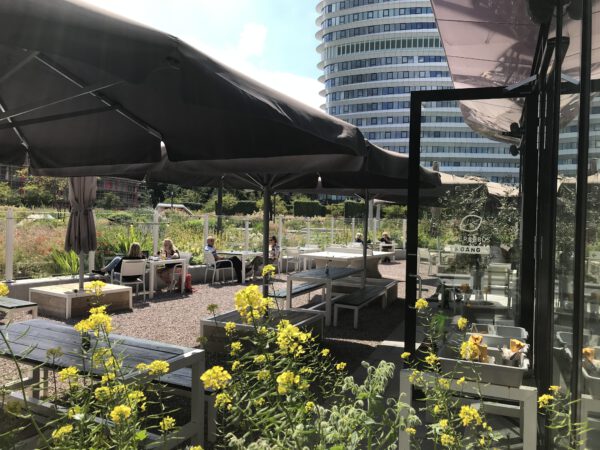 Paviljoen Sterrebos Groningen: luxe lunch en diner