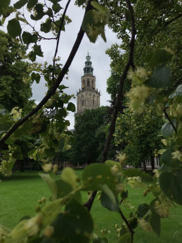De Martinitoren vanaf het Martinikerkhof Groningen