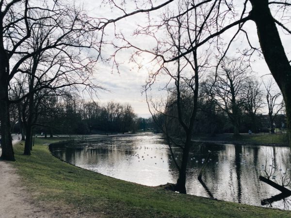 Stadswandeling Groningen: wandelen Groningen