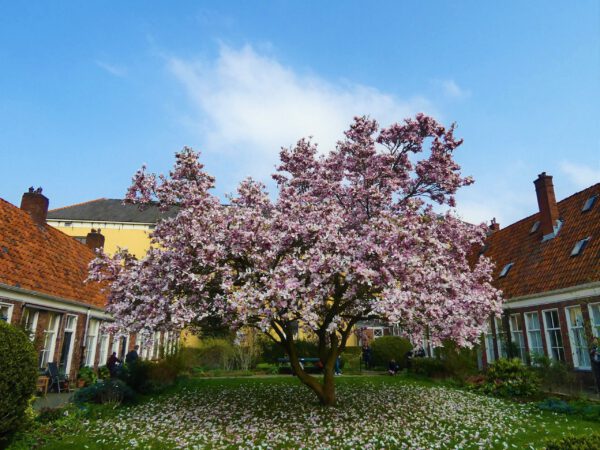 Wandelen Groningen: Fototour I Go Groningen - foto door Ditmar de Vries