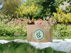 Picknicken in Groningen met de I Go Groningen Picknickbox, een gevulde picknickmand te bestellen in Groningen