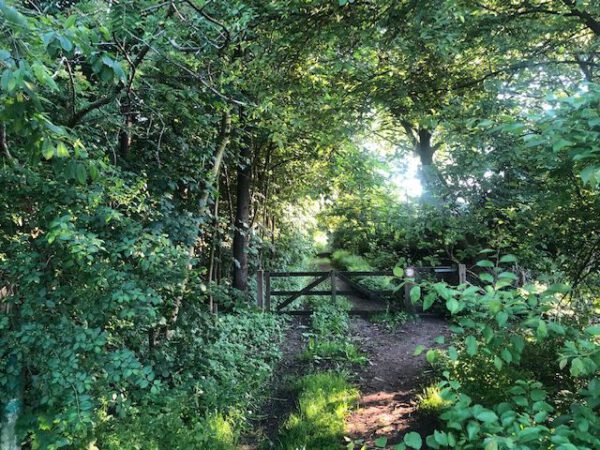 Wandelen Groningen tip: ommetje Meerstad