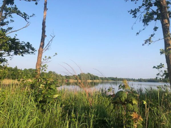 Wandelen Groningen tip: ommetje Meerstad