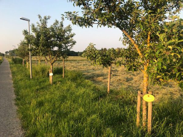 Wandelen Groningen tip: Meerstad