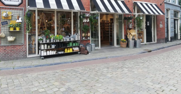Planten kopen bij de leukste plantenwinkel in Groningen: Dille en Kamille
