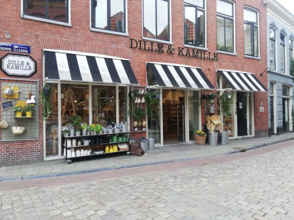 Planten kopen bij de leukste plantenwinkel in Groningen: Dille en Kamille
