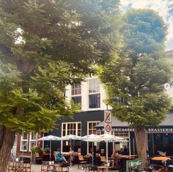 Lunchen in Groningen: Brasserie Harkema