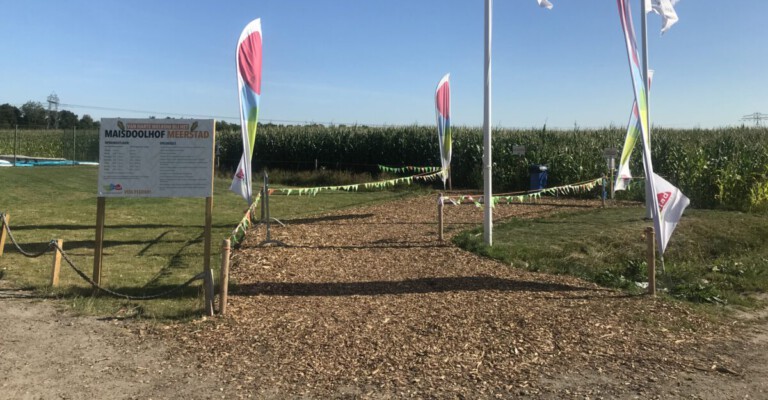 Maisdoolhof Meerstad, aan strand Meeroevers op fietsafstand Groningen Stad