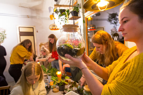 Creatieve workshop met groen: ecosysteem maken, leuk teamuitje in Groningen