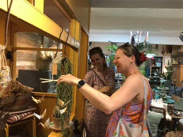 Vintage woonwinkel Groningen aan J.C. Kapteynlaan 6: Salmagundi's