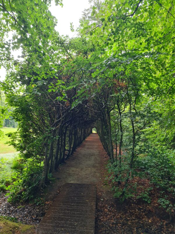 Fietsroute van Groningen naar de natuur van Landgoed De Braak