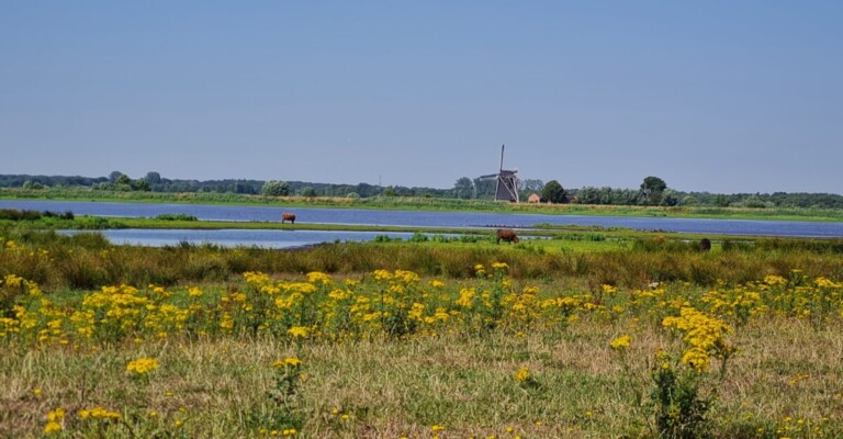 Fietsroute van Groningen naar de natuur van Westerbroekstermadepolder