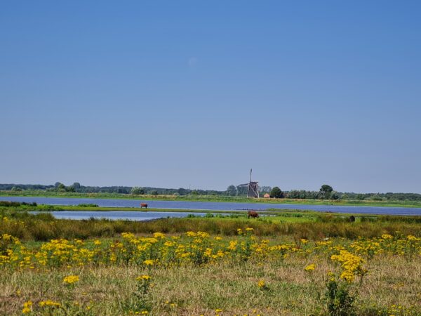 Fietsroute van Groningen naar de natuur van Westerbroekstermadepolder