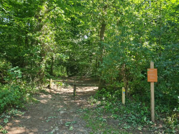 Fietsroute van Groningen naar de natuur van Appelbergen