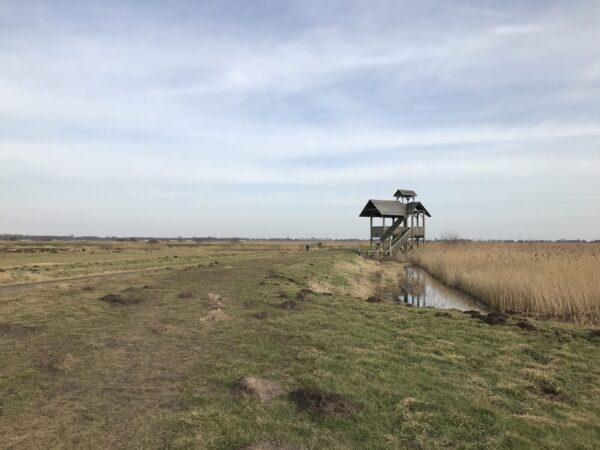 Uitkijktoren en uitzichtpunt Groningen: Onnepolder