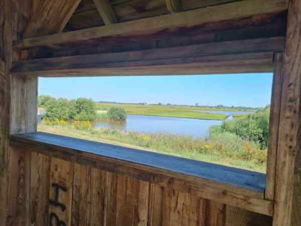 Fietsroute van Groningen naar de natuur van Westerbroekstermadepolder