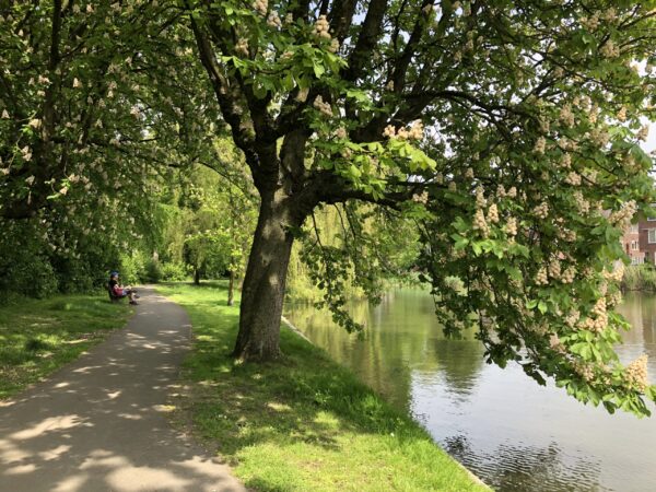 Parken en groen in Groningen tijdens de Urban Walk 2023