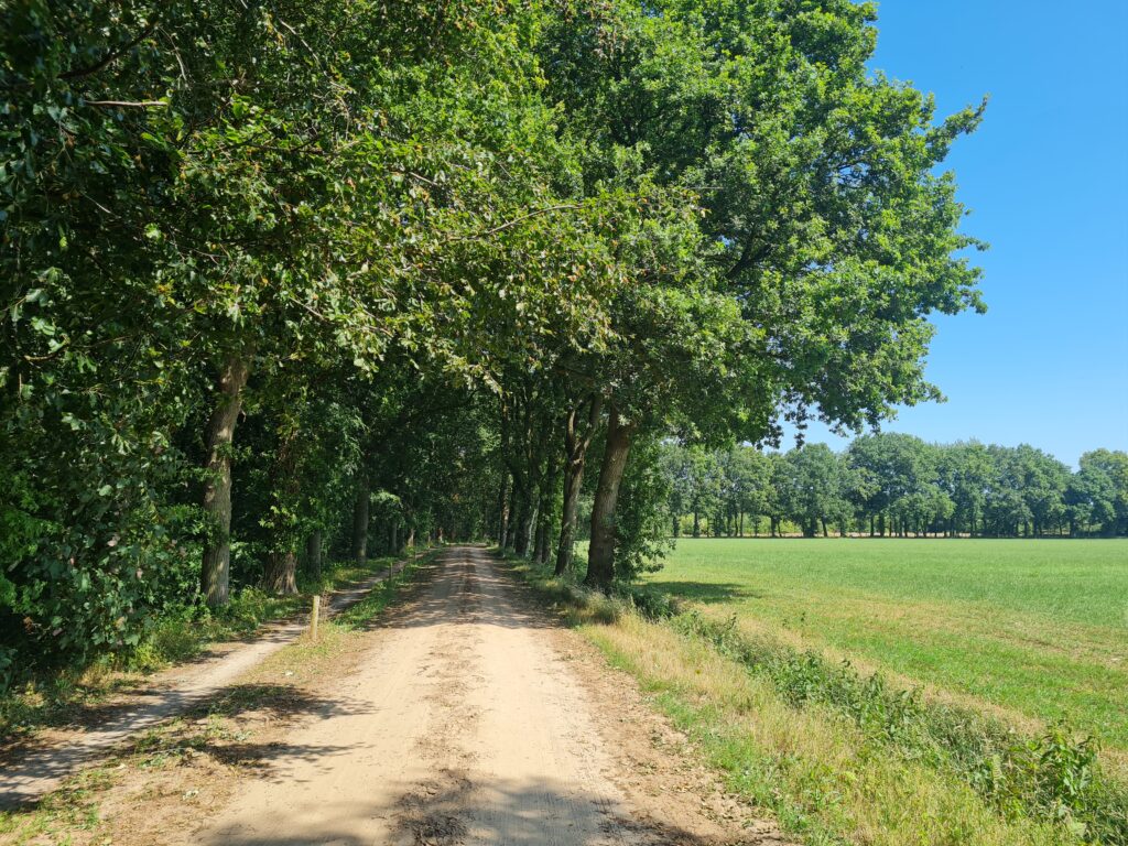 Pieterpad etappe 3: van Groningen naar Zuidlaren, een wandeltocht van 21 km