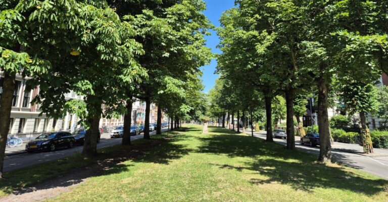 Twaalf markante gebouwen aan de Groningse singels