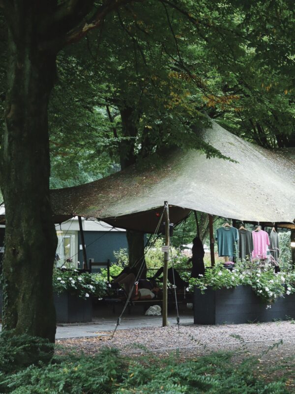 De Backyard: reformer pilatesstudio in Stadspark Groningen