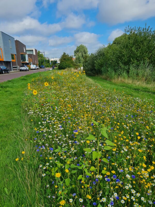 Groen in De Linie en Europapark Groningen