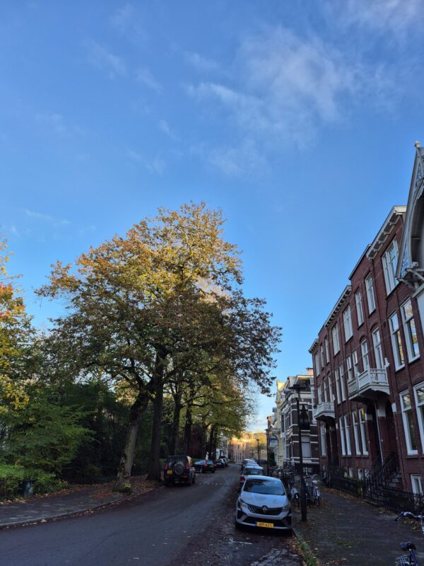 Parklaan Onder de Boompjes het Zuiderpark in Groningen