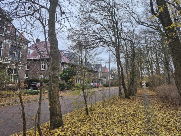 Waterloolaan Groningen