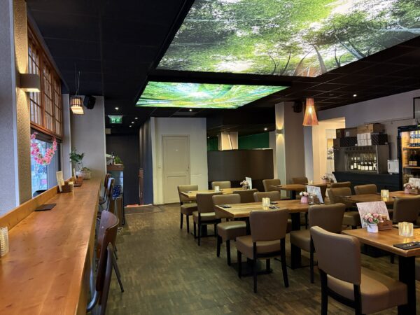 Fujiyama aan de Grote Markt in Groningen: Japans restaurant uit eten tip